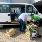 Arapongas reforça compromisso com segurança alimentar no Dia Mundial