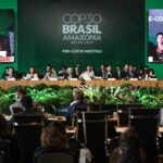 “COP é o lugar para resolver financiamento climático”, diz economista