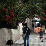 Capital paulista amanhece com céu encoberto e chuva