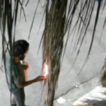 Homem é preso após incendiar lanchonete em Caruaru; Confira o vídeo