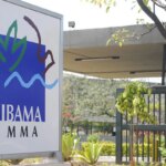 Ibama nega licença para usina termelétrica a gás natural em Brasília