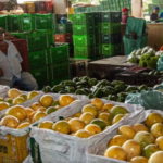 Mudanças nos preços das frutas em Caruaru; cotação do Ceaca