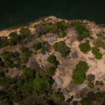 Série mostra resistência contra desmatamento no cerrado - 26/10/2025 - Ambiente