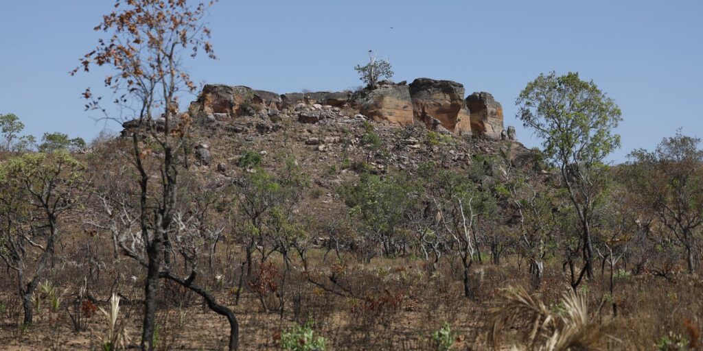 Agência Brasil lança primeira reportagem da seleção Nádia Franco