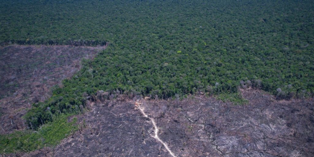 Brasil pode antecipar para 2040 a neutralidade de emissões de CO2