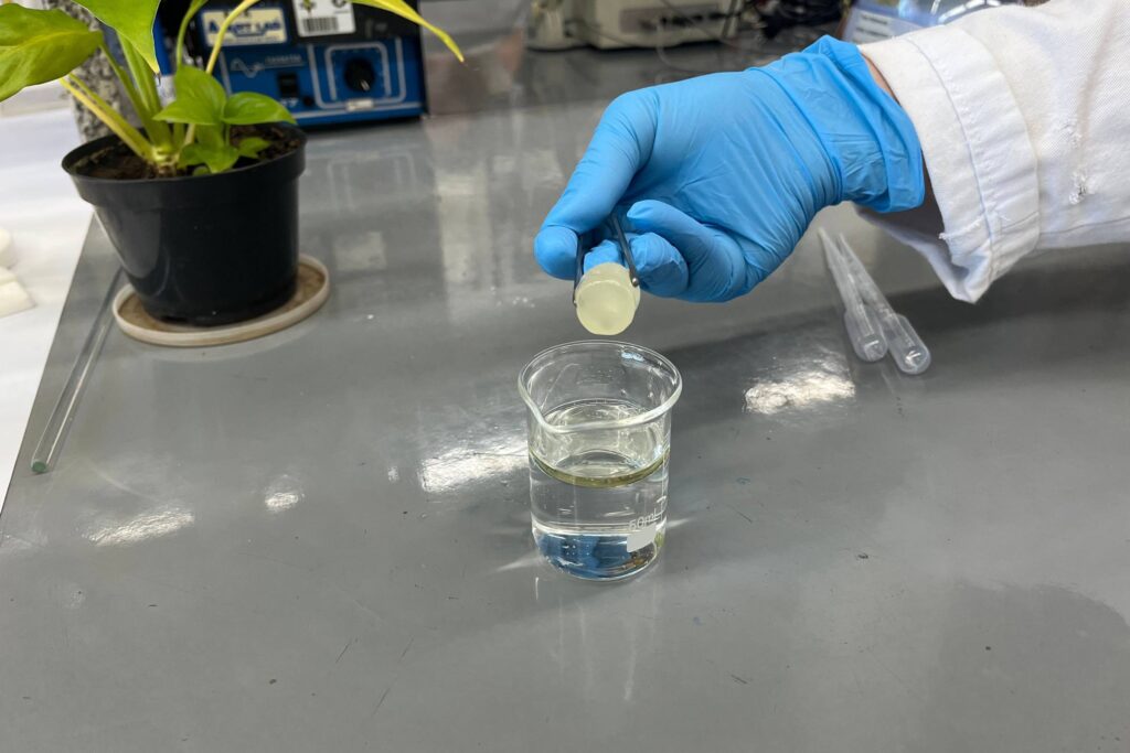 COP30: Finep lança 3 editais para investimento em pesquisa - 11/11/2025 - Painel S.A.