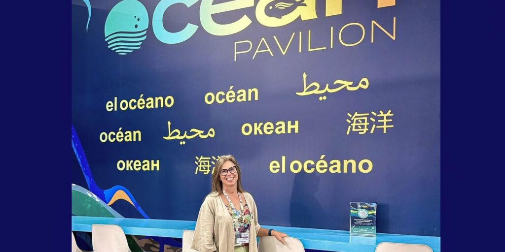 COP30: oceanos podem cortar 35% das emissões de CO₂ até 2050