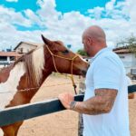 Câmara aprova projeto de Anderson Correia para microchipagem de animais de grande porte soltos em vias públicas de Caruaru