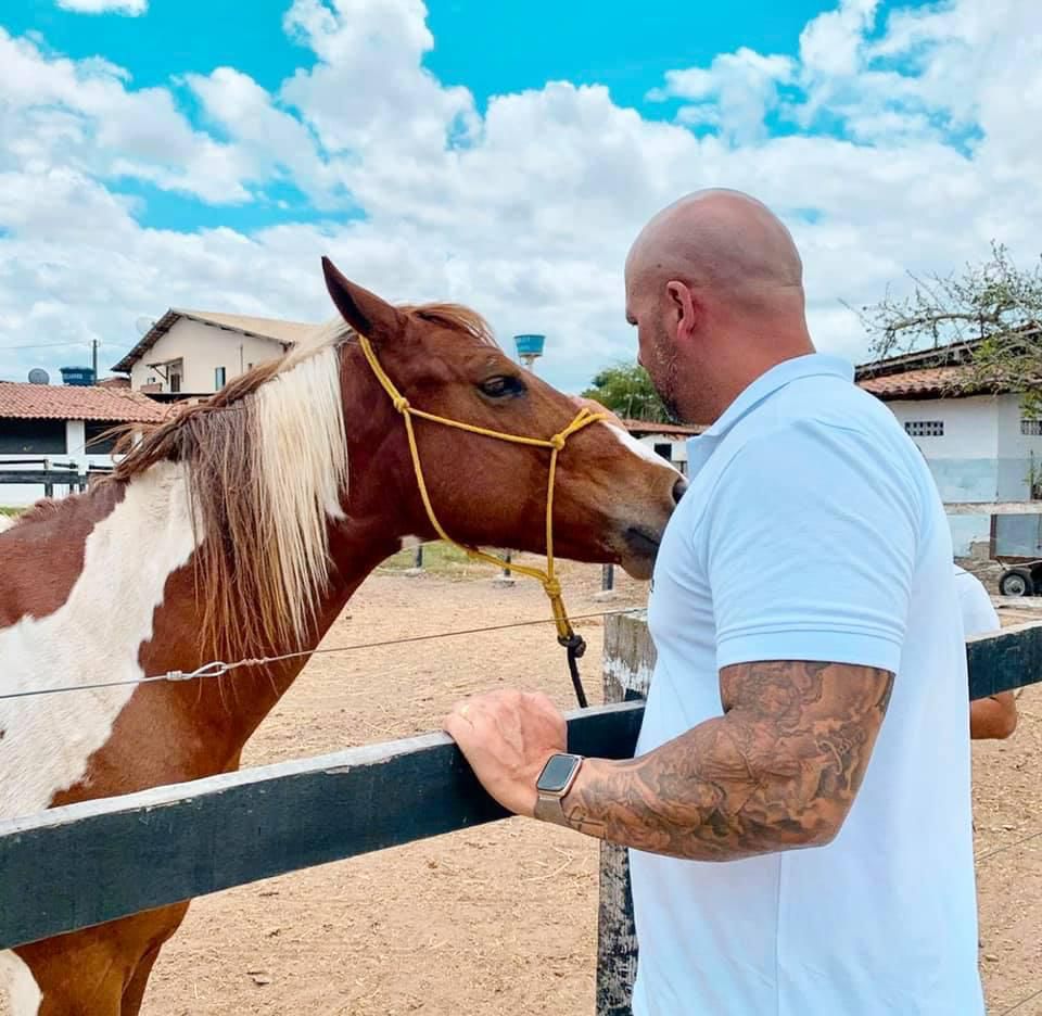 Câmara aprova projeto de Anderson Correia para microchipagem de animais de grande porte soltos em vias públicas de Caruaru