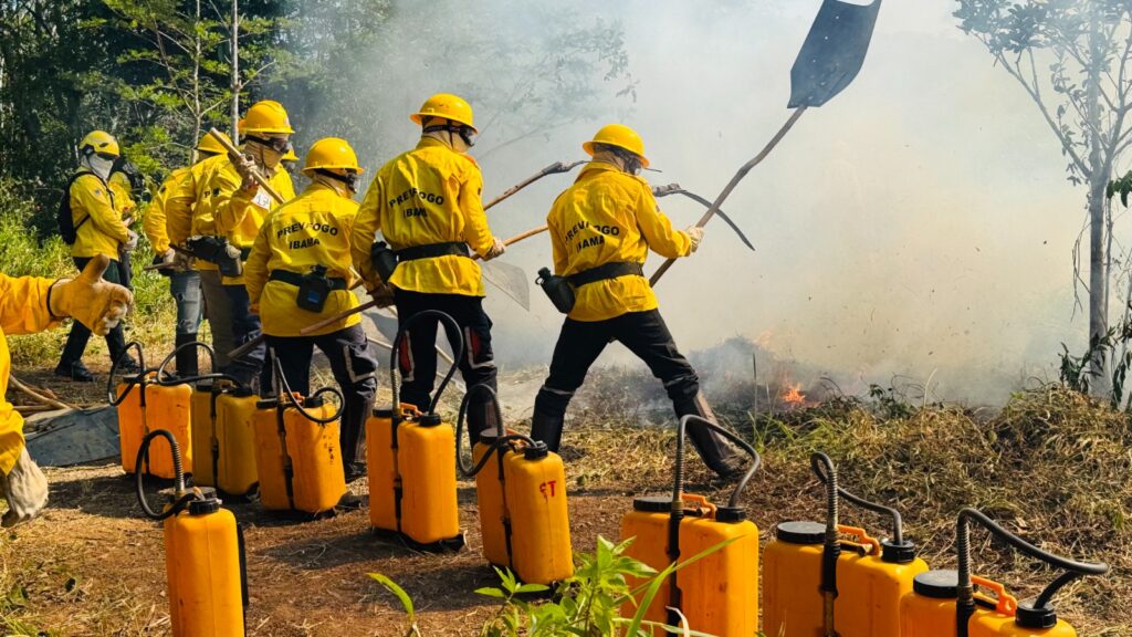 Caruaru e Ibama realizam curso de formação de brigadistas para prevenção e combate a incêndios florestais