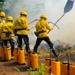 Caruaru e Ibama realizam curso de formação de brigadistas para prevenção e combate a incêndios florestais