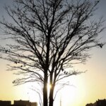 Cientista alerta para risco de aquecimento global por longo tempo