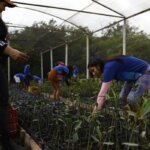 Governo fecha parceria para expandir energia renovável na Amazônia