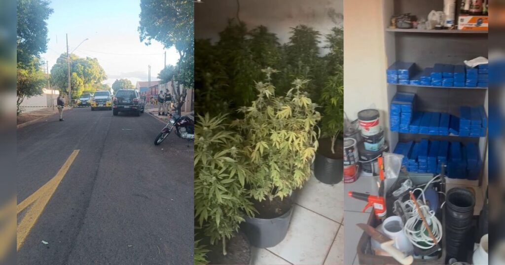 Homem morre em confronto com a PM ao ser pego com plantação de maconha