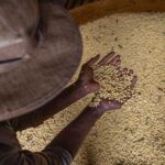 Livro aborda produção sustentável em meio à mudança climática