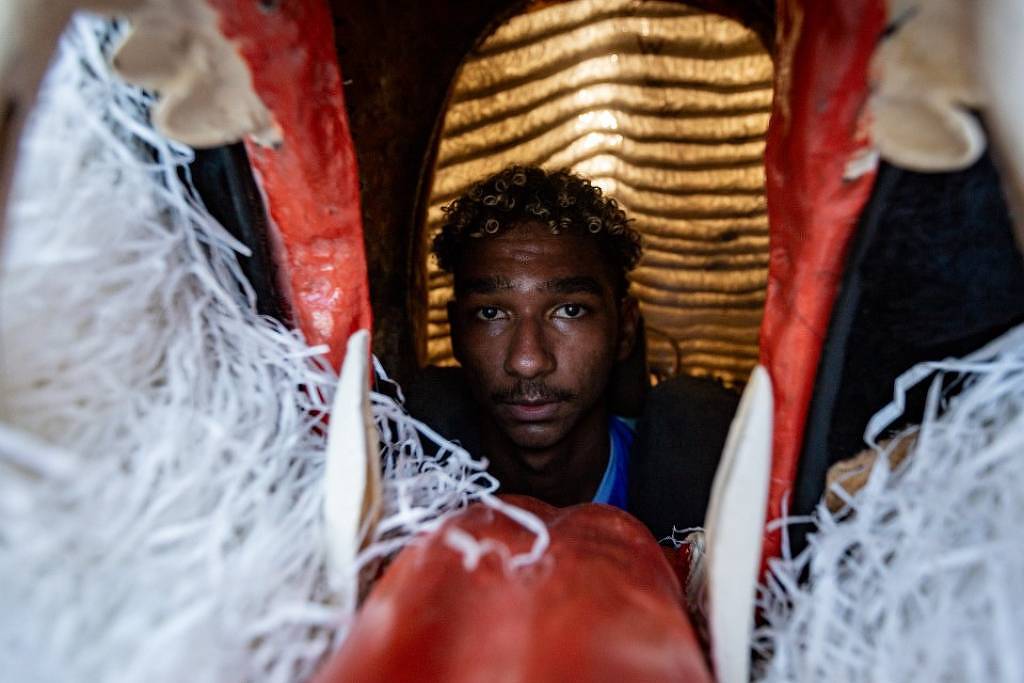 Mostra na Pinacoteca revela potência política do Carnaval - 24/11/2025 - Ilustrada