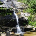 Parque Nacional da Tijuca promove feira de ciências com foco em peixes