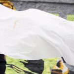 Proteção de adolescentes desafia conselhos tutelares após megaoperação