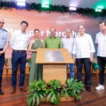 Raquel Lyra lança projeto de descarbonização em Fernando de Noronha com usina solar inédita