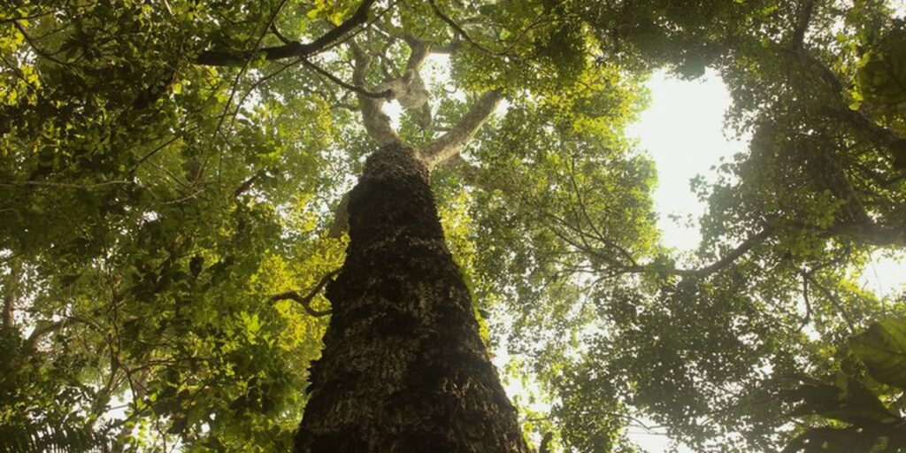 TV Brasil estreia nova temporada de "Parques do Brasil" neste domingo