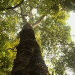 TV Brasil estreia nova temporada de "Parques do Brasil" neste domingo