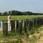 lavoura e árvores reduzem impacto de mudança climática| Agência Brasil