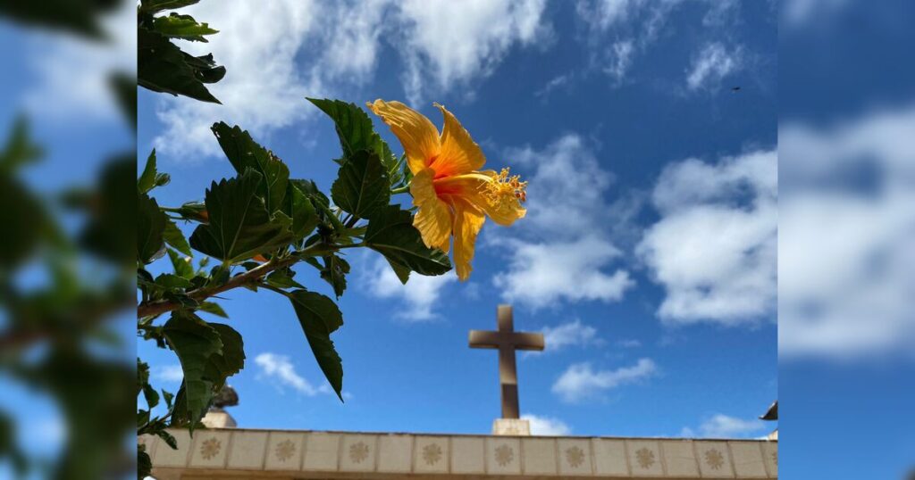 Confira os falecimentos desta quinta-feira (11) na região