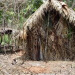 DPU afirma que consulta prévia não se aplica a indígenas isolados