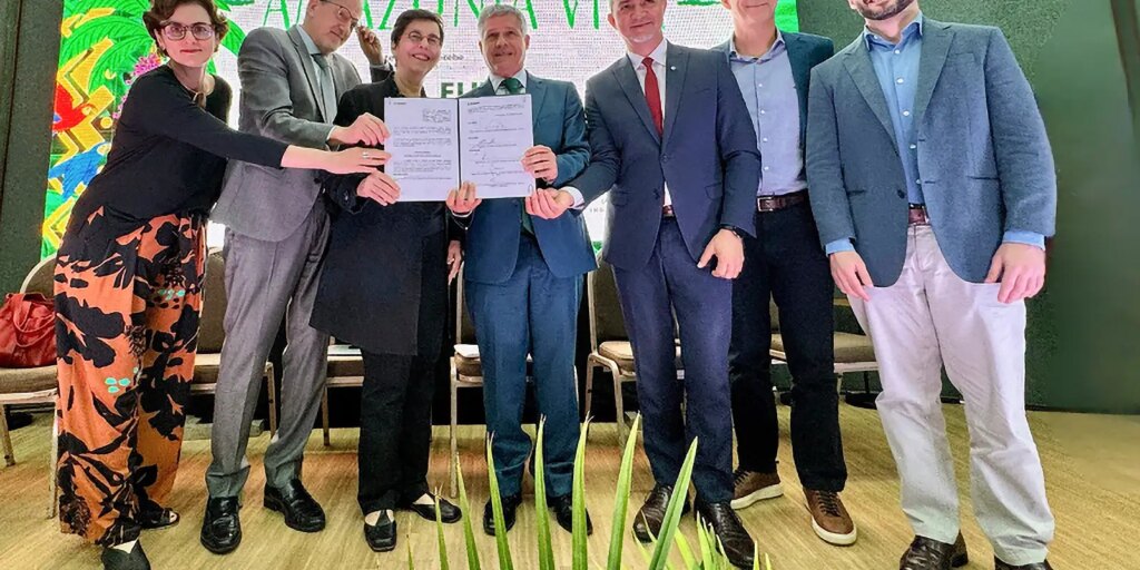 Fundo Amazônia: cadeias produtivas de florestas terão R$ 96,6 milhões