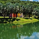 Museu Inhotim, em Minas Gerais, tem recorde de visitação em 2025