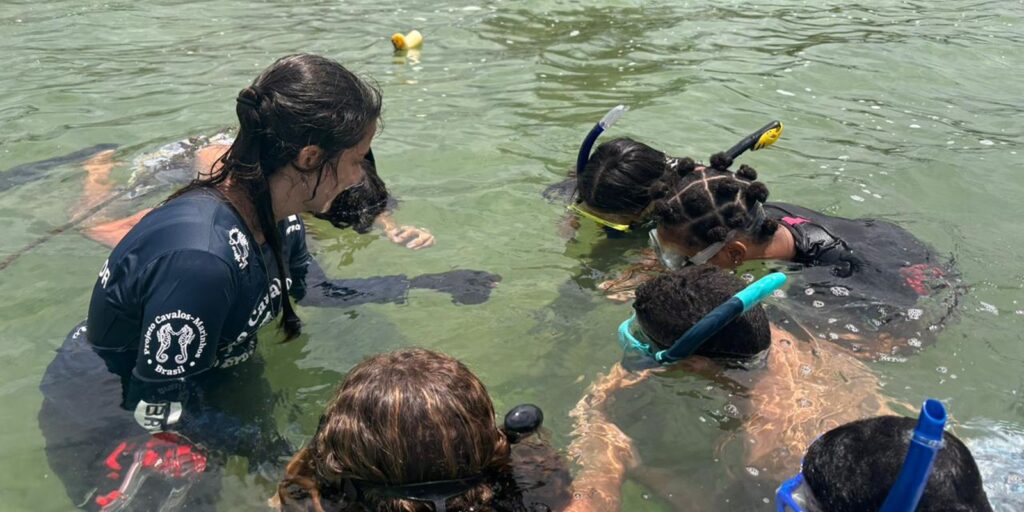 Projeto no Rio forma guardiões de cavalos-marinhos de 12 a 14 anos