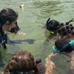 Projeto no Rio forma guardiões de cavalos-marinhos de 12 a 14 anos