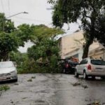 Temporal deixa SP em estado de atenção; bairros têm queda de luz