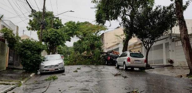 Temporal deixa SP em estado de atenção; bairros têm queda de luz
