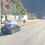 Acidente entre caminhões bloqueia a BR-376; carga de peixe se espalhou na pista