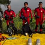 Após alta hospitalar, primo de crianças desaparecidas auxilia na busca