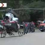 Árvore cai no parque Ibirapuera e atinge mulher - 02/01/2026 - Cotidiano