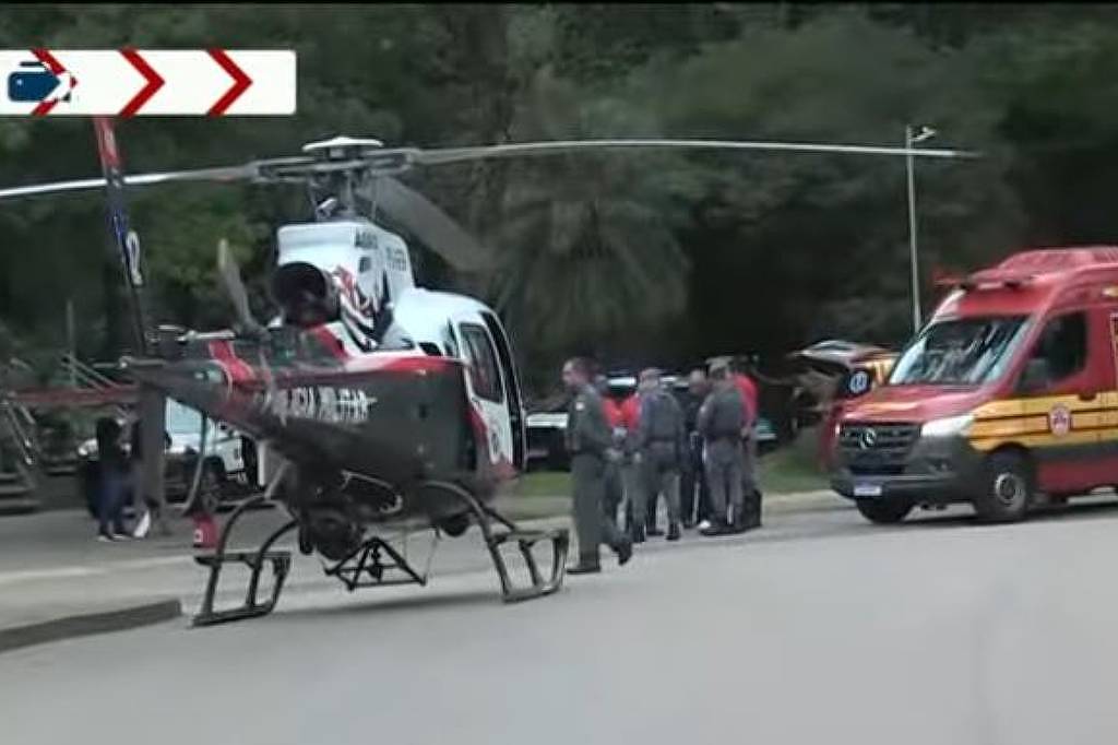 Árvore cai no parque Ibirapuera e atinge mulher - 02/01/2026 - Cotidiano
