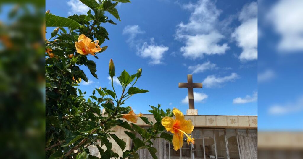 Confira os falecimentos deste sábado (17) em Apucarana e região