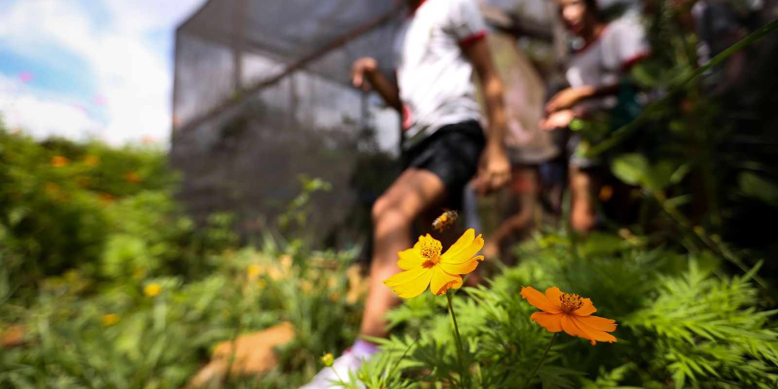 Dia da Educação Ambiental destaca iniciativas de conscientização