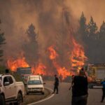 Fogo avança na Patagônia enquanto Milei faz foto com IA - 28/01/2026 - Ambiente