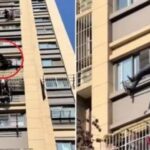Idoso ficou preso em um varal no 7º andar e foi resgatado