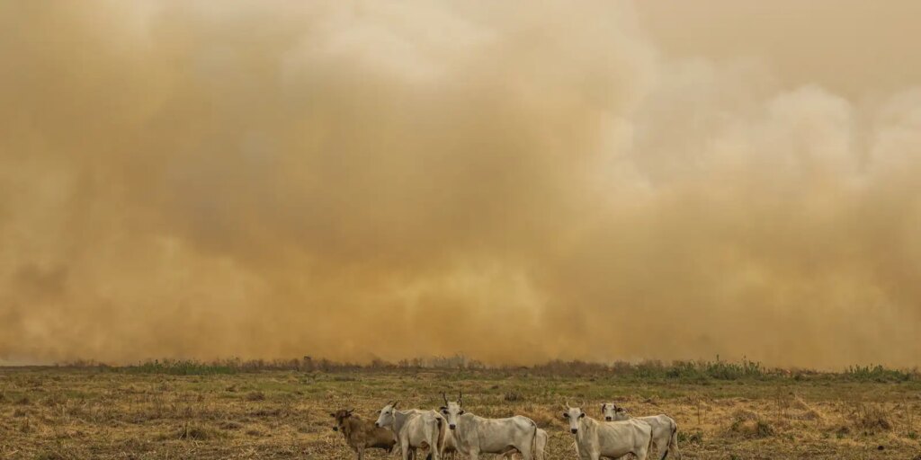 Janeiro tem número de focos de calor duas vezes maior que a média