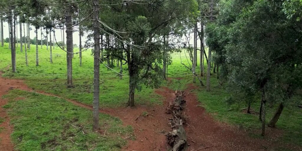 Produção inédita resgata histórico Caminho do Peabiru na TV Brasil