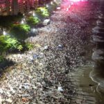 Turistas lotaram rede hoteleira de Niterói no réveillon