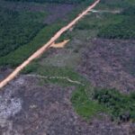Alertas de desmatamento caem 35% na Amazônia e 6% no Cerrado