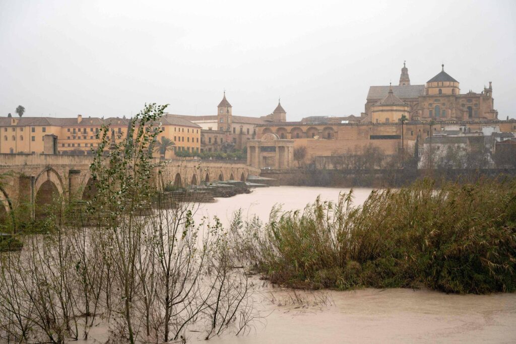 Espanha e Portugal relatam perdas no campo após tempestade - 07/02/2026 - Mundo