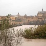 Espanha e Portugal relatam perdas no campo após tempestade - 07/02/2026 - Mundo