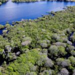 Governo lança edital para combate ao desmatamento na Amazônia