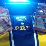 Perseguição na BR-104 termina com apreensão de drogas e aves irregulares em Caruaru